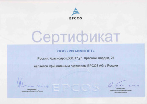 2009 год
