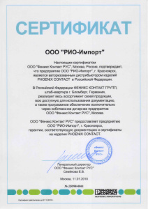 2010 год